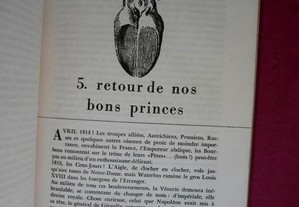 imagem_5