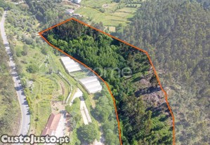 Terreno Rústico Com Potencial Turístico