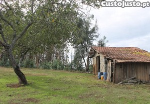 Terreno Misto Em Lugar De Moreira _ Melres |...