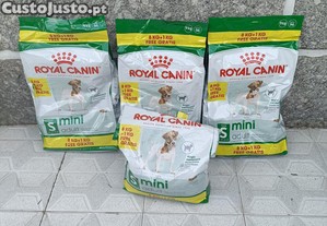 Royal canin size mini