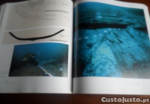 imagem_9