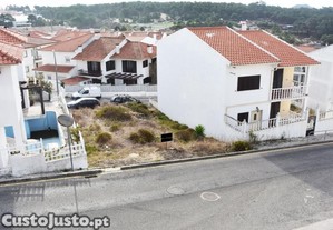 imagem_1