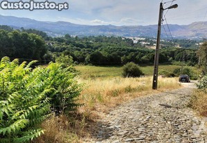 imagem_24