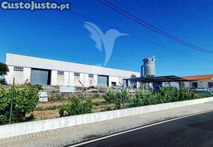 Imvel industrial (carpintaria)