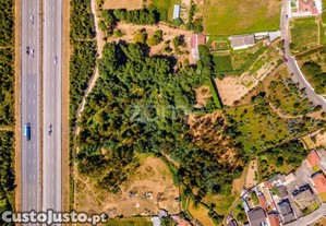 Terreno 9178M² Frente Para Autoestrada A1...