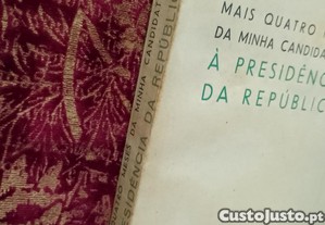 imagem_8