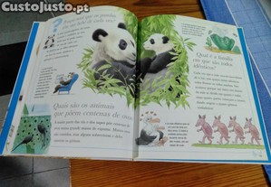 imagem_7