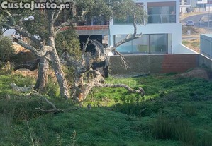 Terreno urbano para construção de moradia