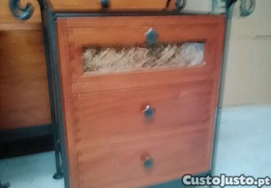 imagem_5