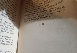 imagem_8