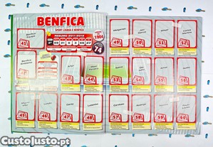 imagem_4