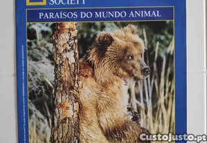 imagem_6