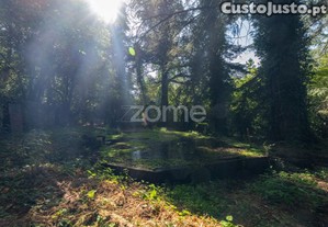 Casa Grande De Farejinhas, Castro Daire