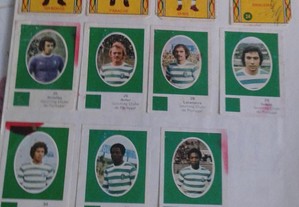 imagem_2