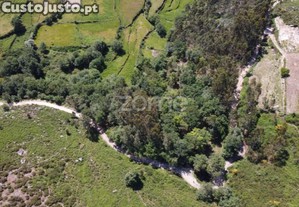 Terreno Rústico Em Barbeitos (Álvora)