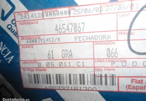 imagem_7