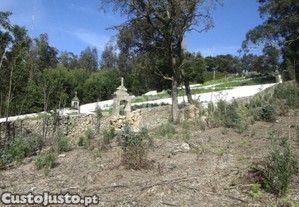 Terreno Misto Com 13.800 M2 Em Guilhabreu V Do...