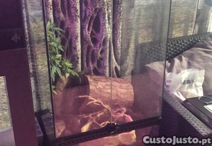 Terrario exoterra completo
