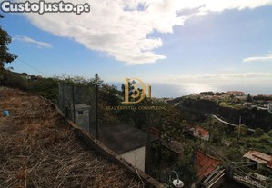 imagem_25