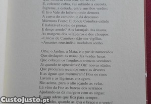 imagem_6
