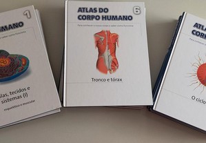 Coleção Atlas do corpo humano - 15 Livros