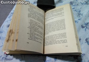 imagem_8