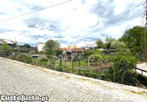 imagem_8