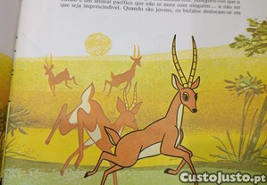 imagem_2