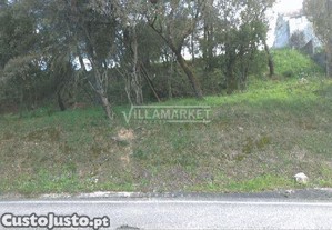 imagem_7