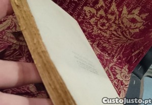 imagem_11