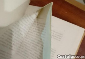 imagem_7
