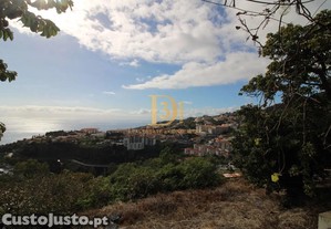 imagem_29