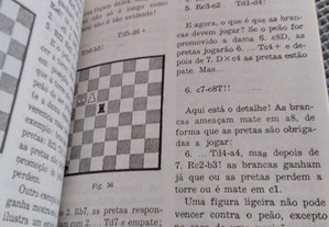 imagem_7