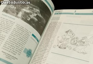 imagem_10