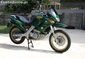 imagem_3