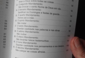 imagem_4