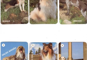 Coleção completa e numerada de 12 calendários sobre Cães 1992