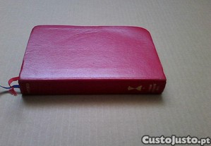 imagem_2