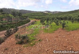 Terreno Rústico De 3 Hectares - Mexilhoeira...