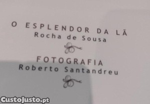 imagem_11