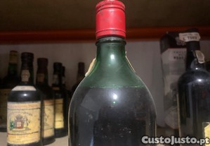 imagem_5