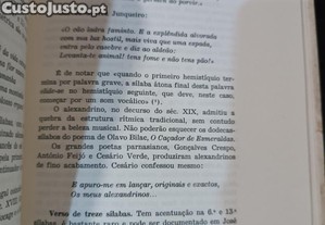 imagem_7