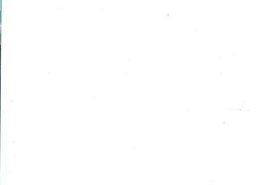 imagem_3