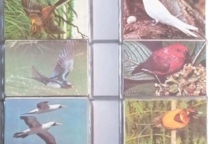 Bonita coleção completa de 88 calendários de aves, uma edição de 1987