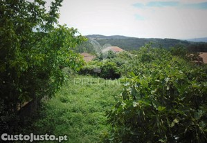 imagem_24
