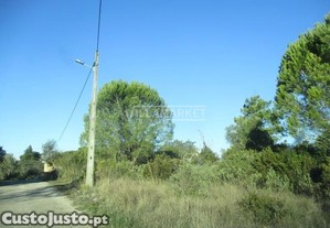 imagem_12