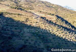 Propriedade de excelncia com mais de 22 hectares no corao do douro
