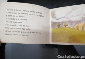 imagem_4