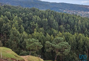 Terreno em Madeira de 10960,00 m²