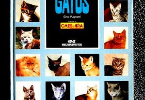 Todos os gatos Raças de gatos. Características.